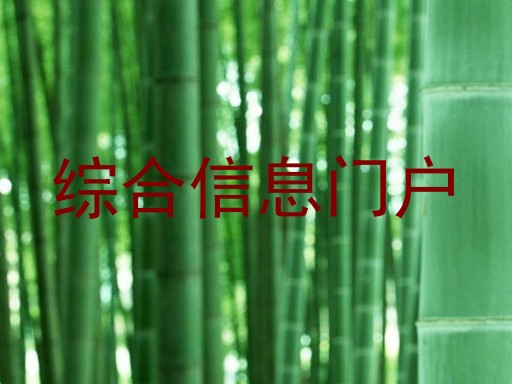 综合信息门户