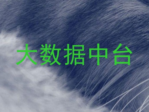 大数据中台