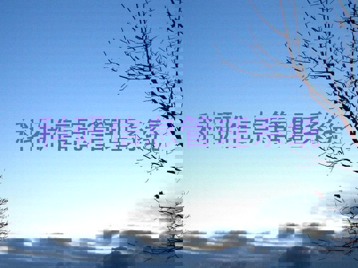 科研信息管理系统