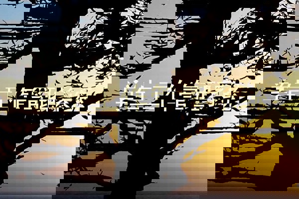 学生工作管理系统