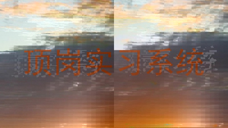 顶岗实习系统