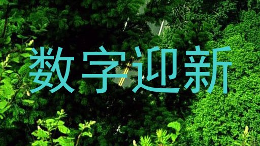 数字迎新