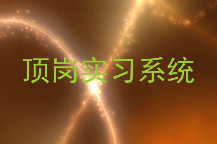 顶岗实习系统