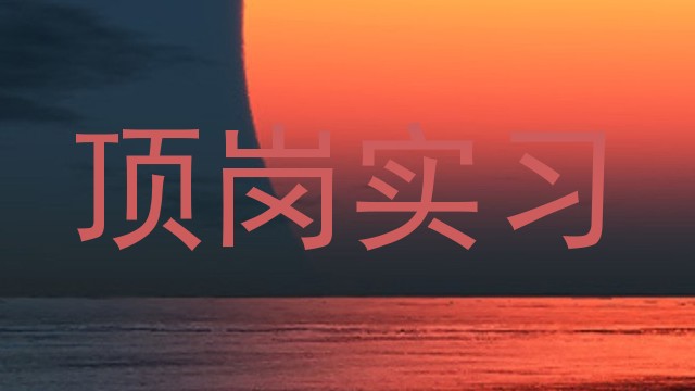 顶岗实习