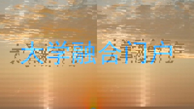 大学融合门户