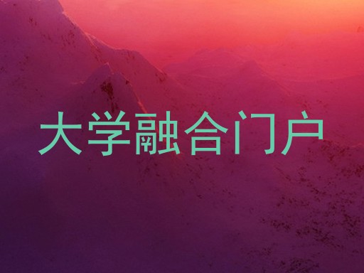 大学融合门户