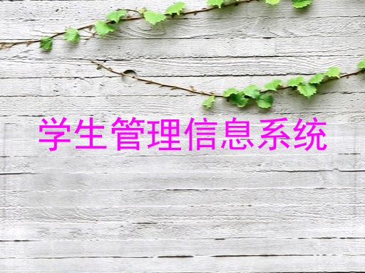 学生管理信息系统