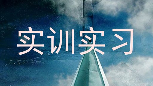 实训实习