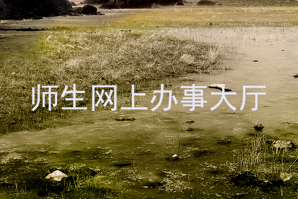 师生网上办事大厅