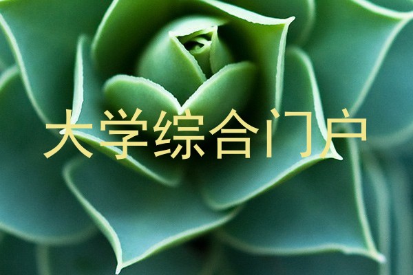 大学综合门户