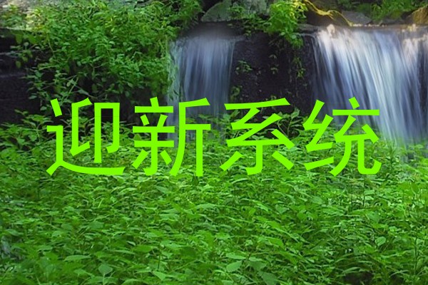 迎新系统