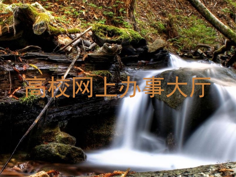 高校网上办事大厅