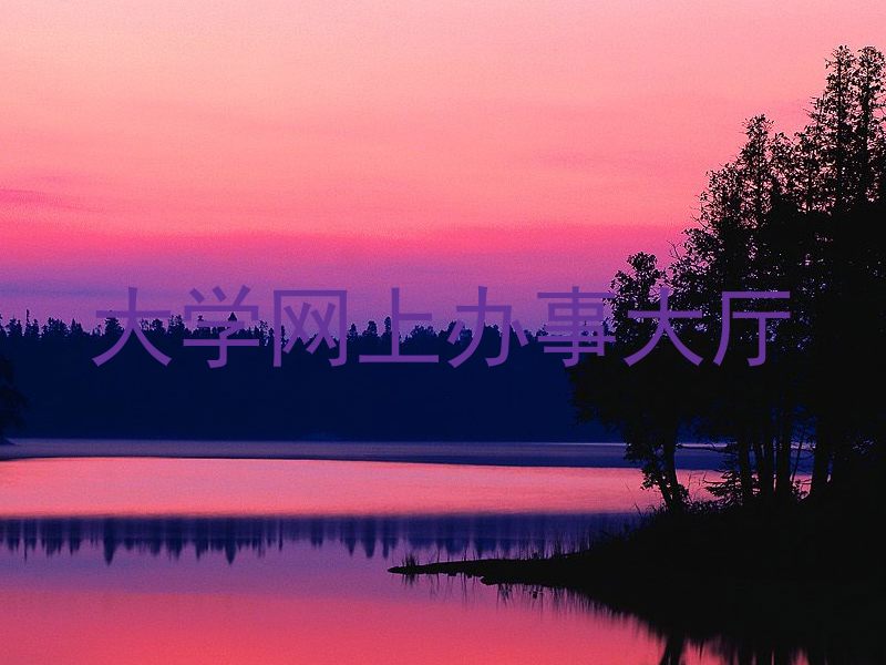 大学网上办事大厅