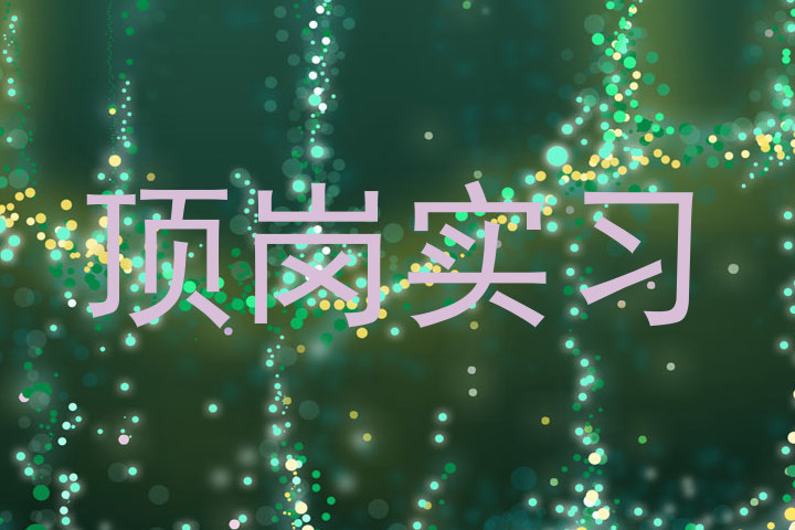 顶岗实习