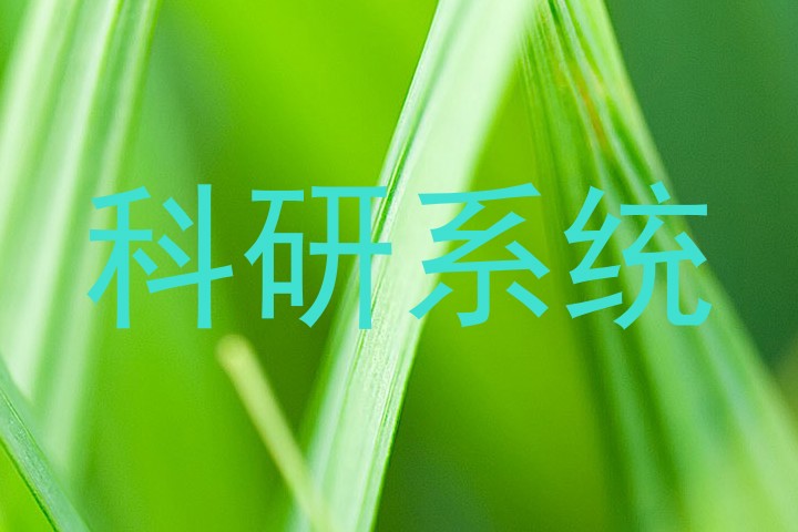 科研系统