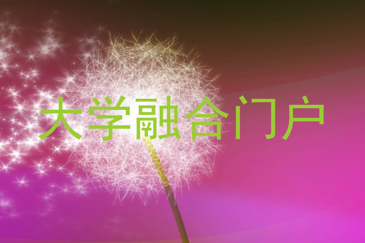 大学融合门户