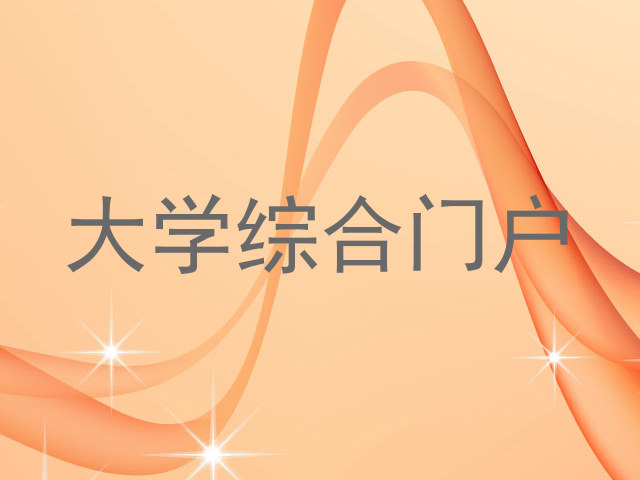 大学综合门户