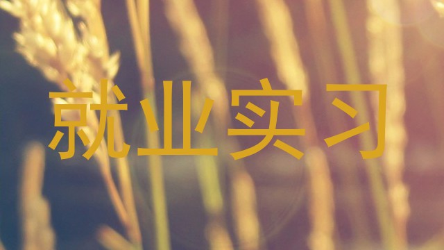 就业实习
