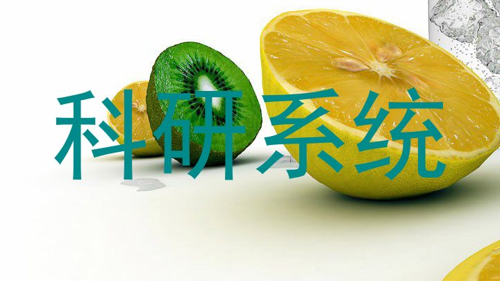 科研系统