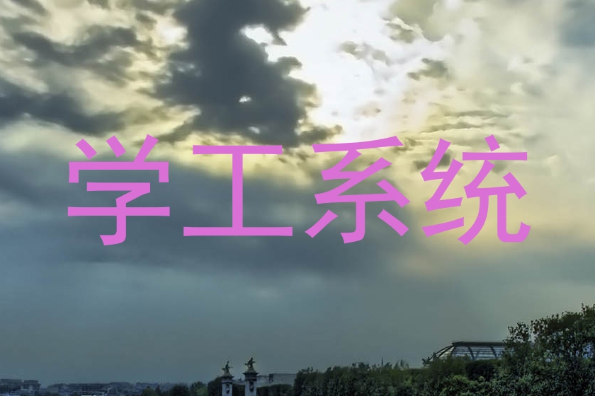 学工系统