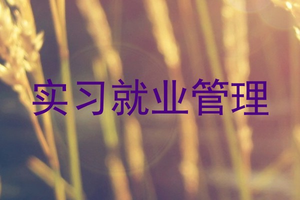 实习就业管理
