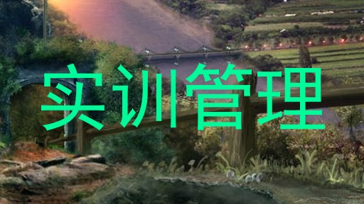 实训管理