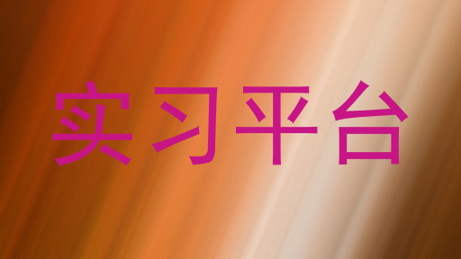 实习平台