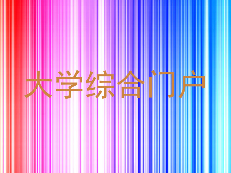 大学综合门户