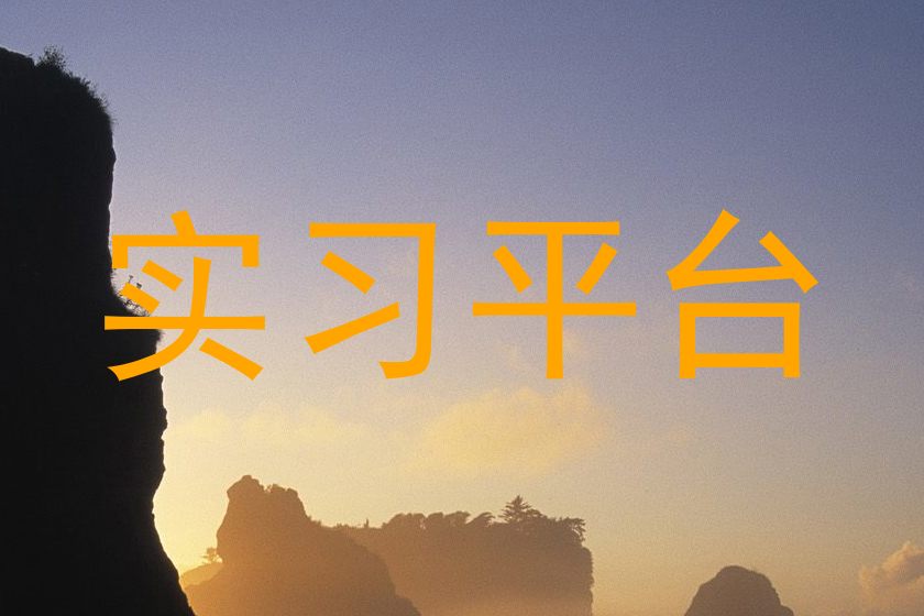 实习平台