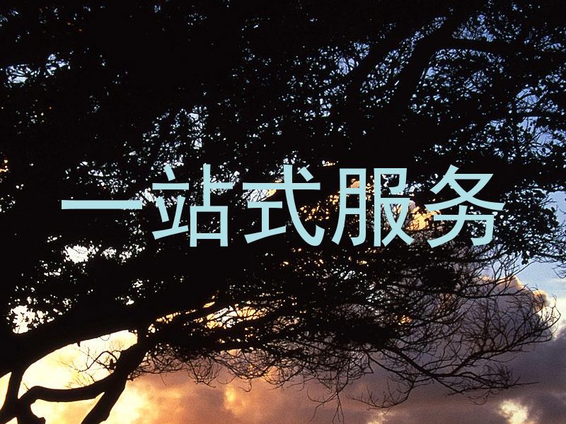 一站式服务