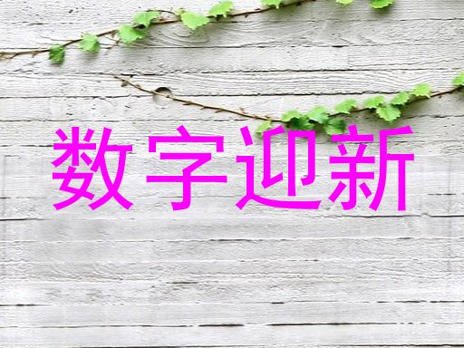 数字迎新