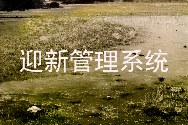 迎新管理系统