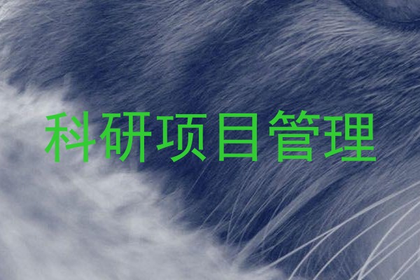 科研项目管理