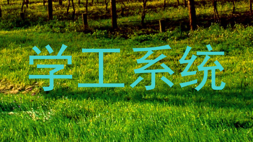 学工系统