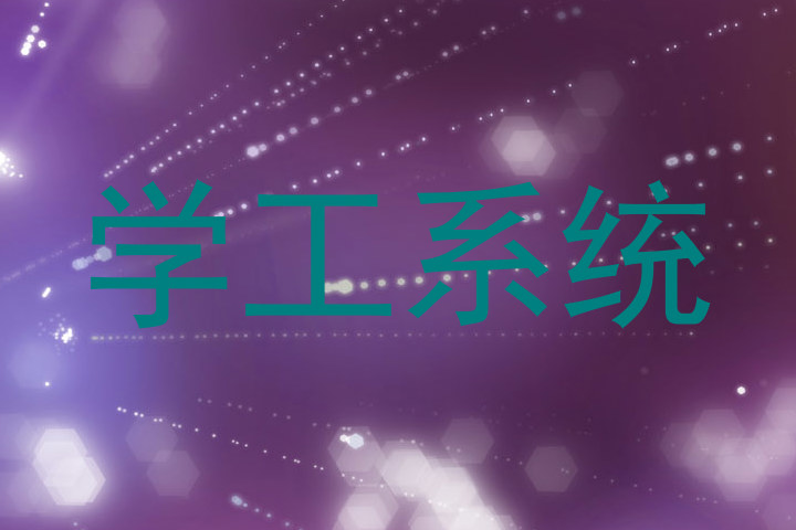 学工系统