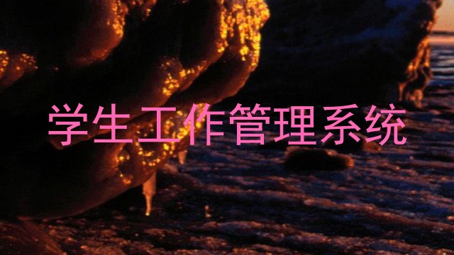 学生工作管理系统