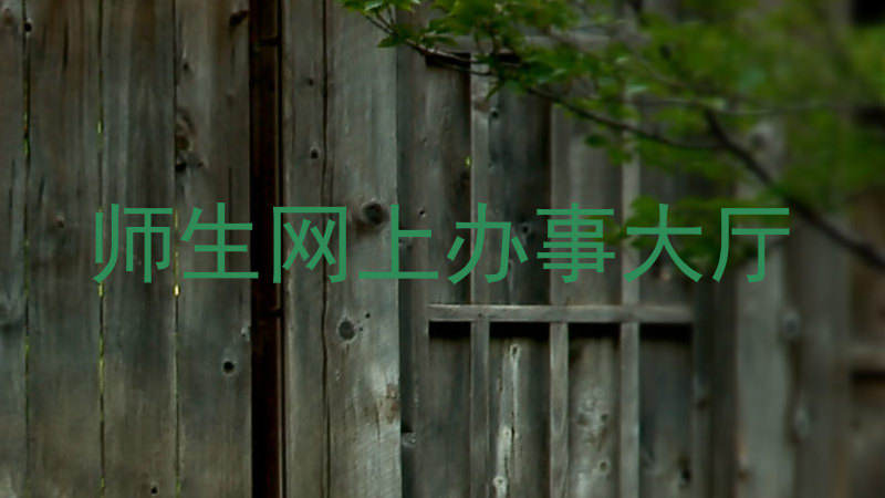 师生网上办事大厅