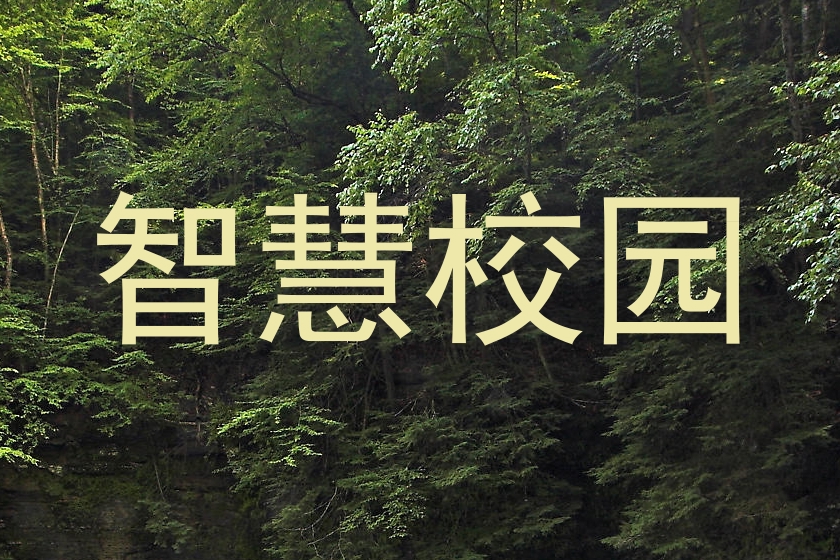 智慧校园