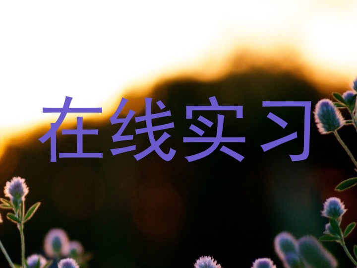 在线实习