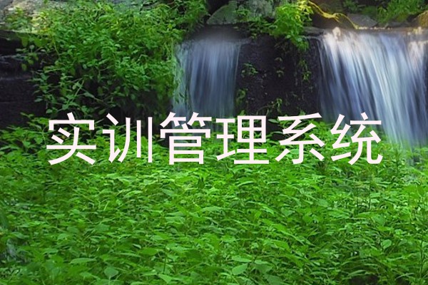 实训管理系统