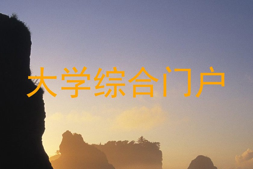 大学综合门户