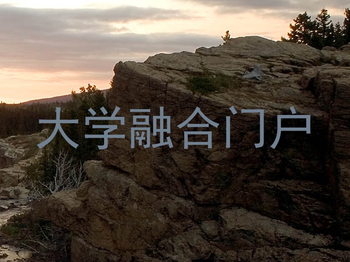 大学融合门户
