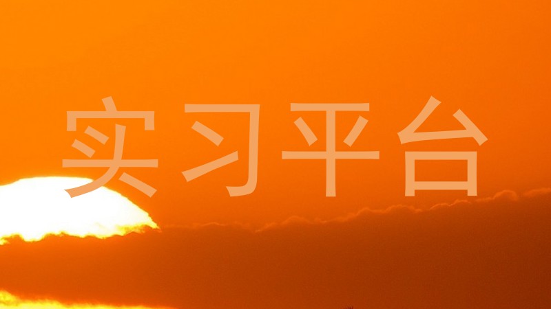 实习平台