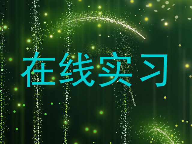 在线实习
