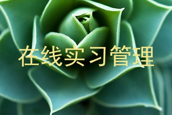 在线实习管理