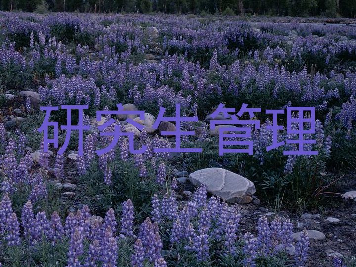 研究生管理