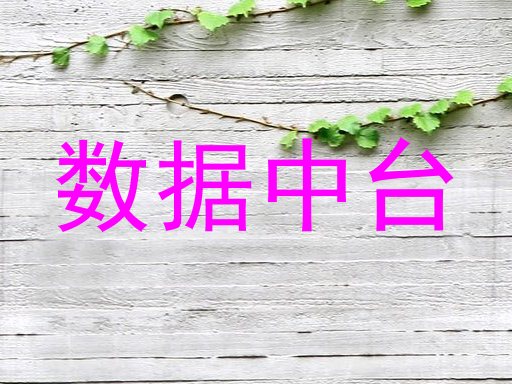 数据中台