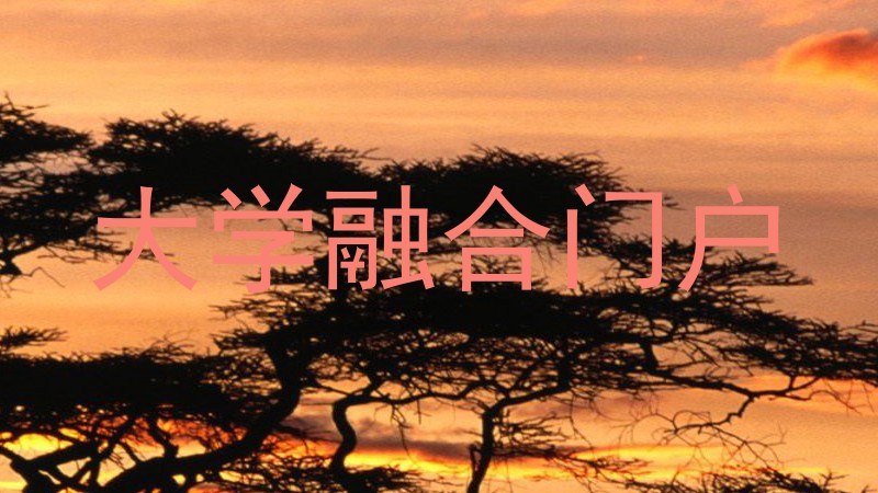 大学融合门户