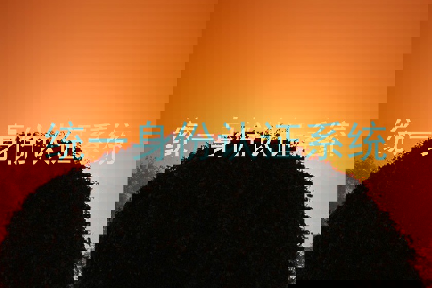 统一身份认证系统