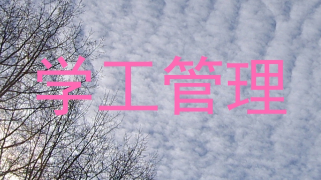 学工管理